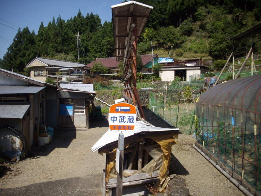 f:id:blepharisma:20120808220433j:image