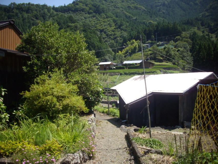 f:id:blepharisma:20120808220723j:image