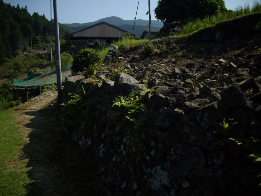 f:id:blepharisma:20120809205603j:image