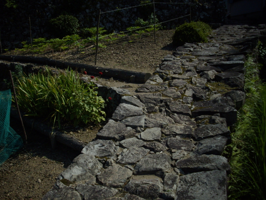 f:id:blepharisma:20120809205611j:image