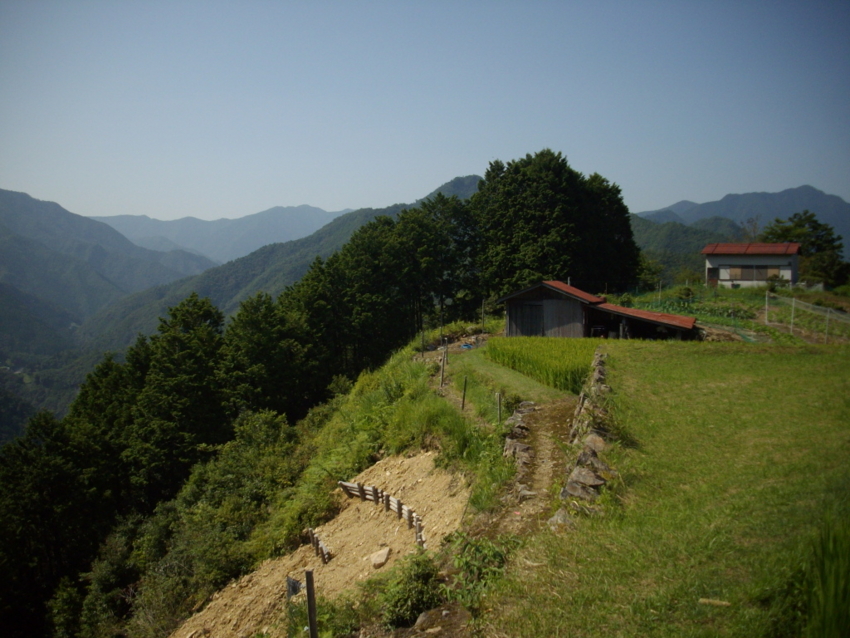 f:id:blepharisma:20120809205618j:image