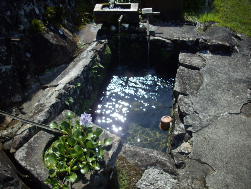 f:id:blepharisma:20120809205619j:image
