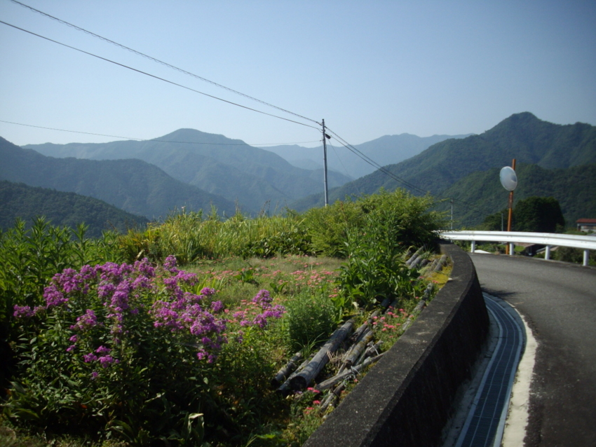 f:id:blepharisma:20120809205622j:image