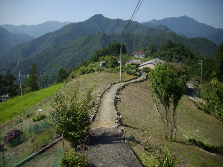 f:id:blepharisma:20120809205624j:image
