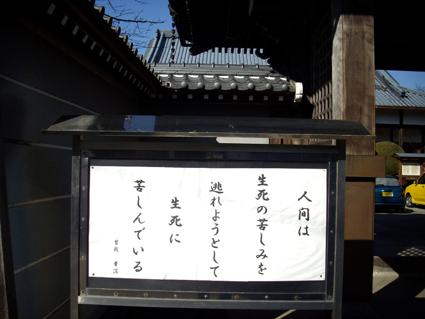 f:id:blepharisma:20121001082414j:image