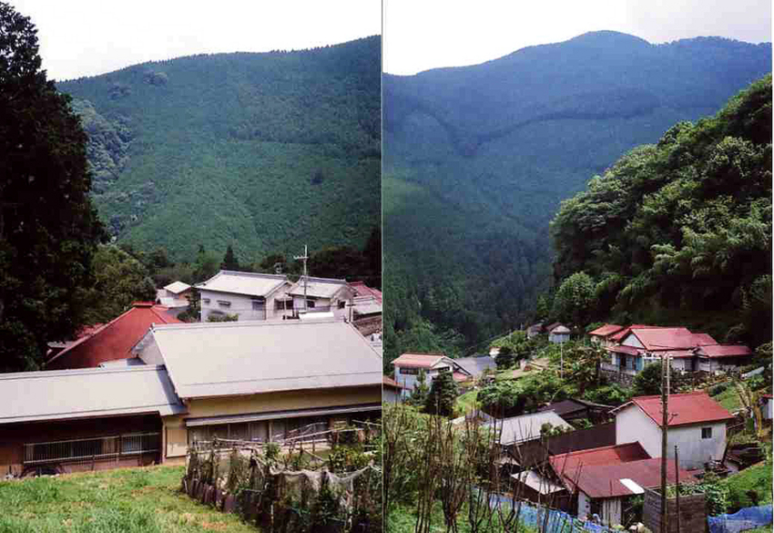 f:id:blepharisma:20121003082437j:image