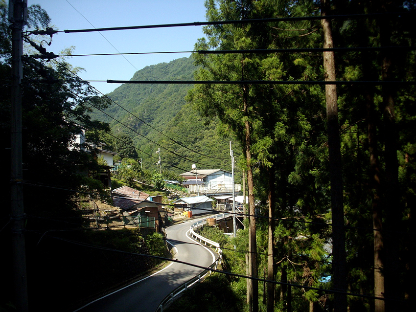 f:id:blepharisma:20121007053842j:image