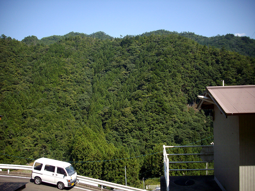 f:id:blepharisma:20121007053843j:image