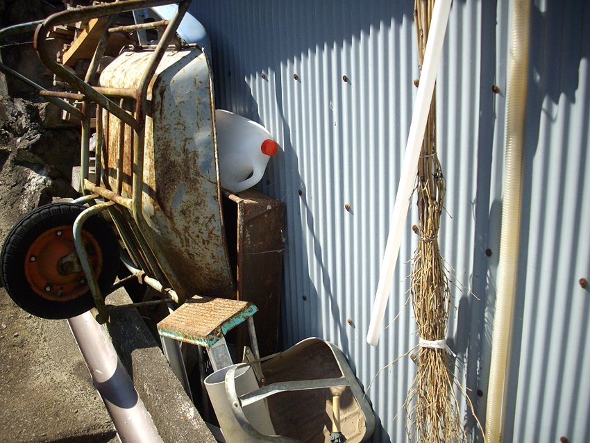 f:id:blepharisma:20121007053845j:image