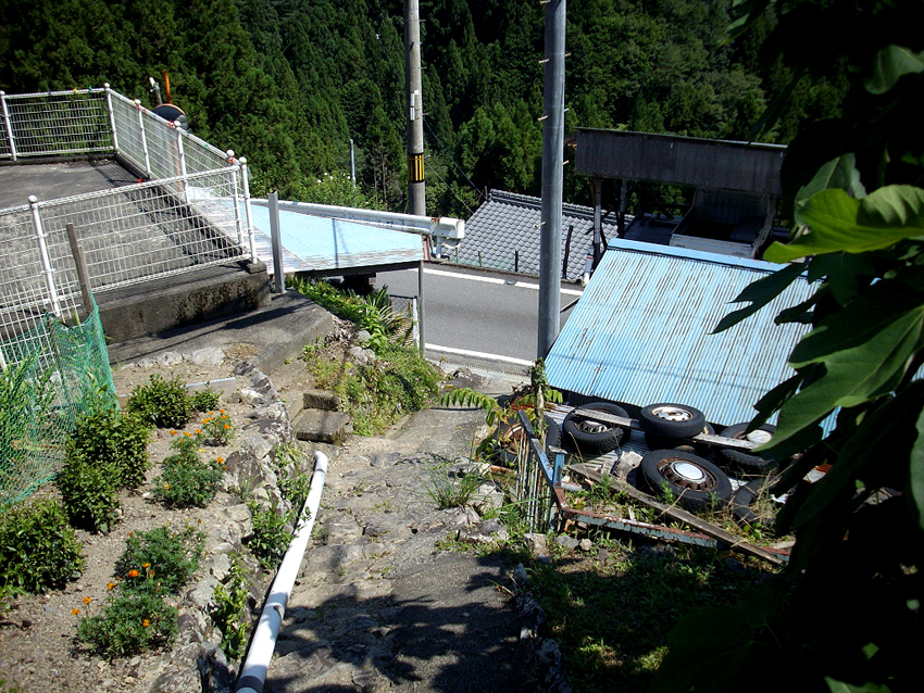 f:id:blepharisma:20121007053848j:image