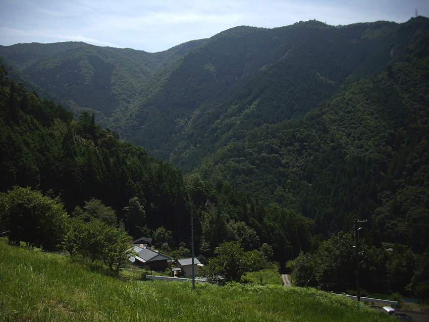 f:id:blepharisma:20121016100857j:image