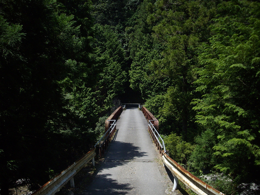 f:id:blepharisma:20121016100910j:image