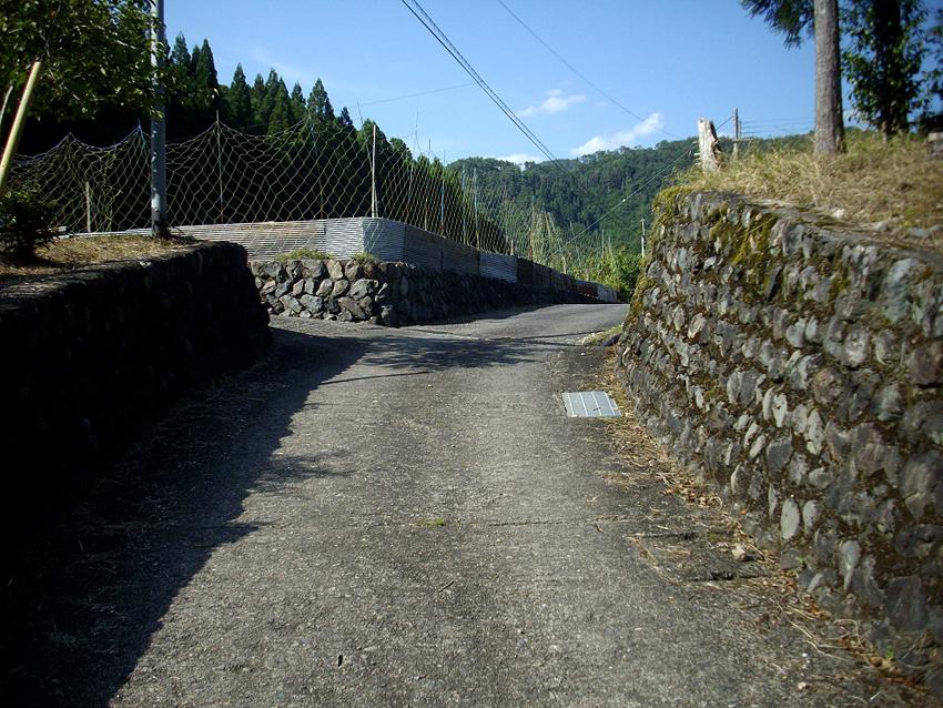 f:id:blepharisma:20121023111405j:image