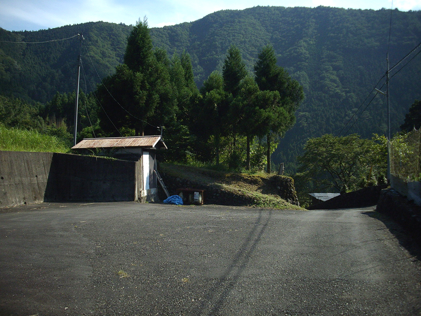 f:id:blepharisma:20121023111407j:image