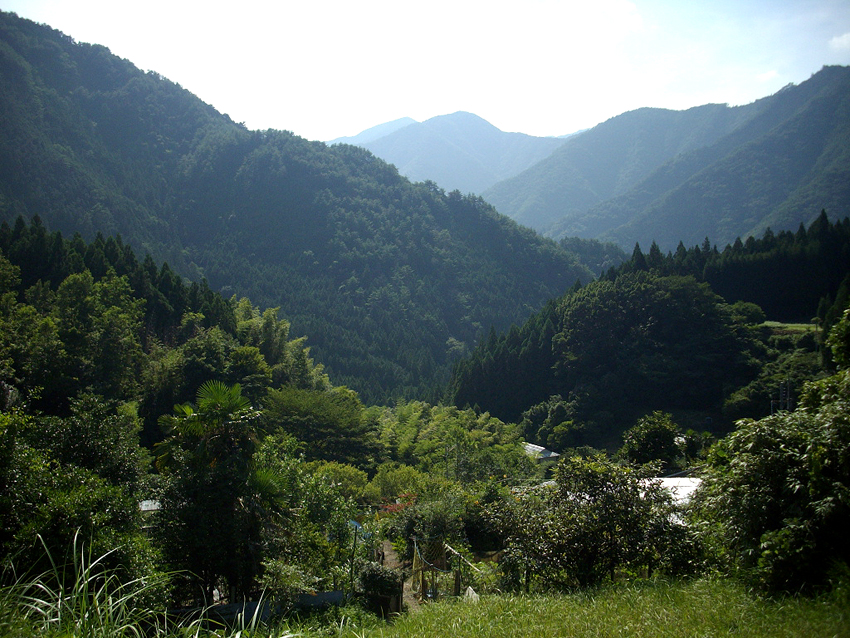 f:id:blepharisma:20121023111412j:image