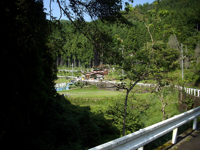f:id:blepharisma:20121023111417j:image