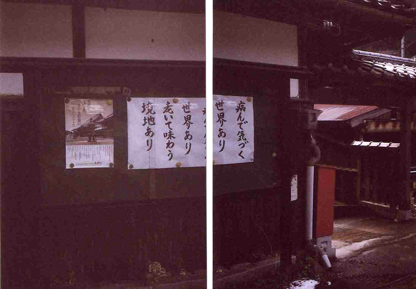 f:id:blepharisma:20121101092032j:image