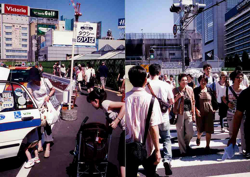 f:id:blepharisma:20121104082956j:image f:id:blepharisma:20121104082956j:image