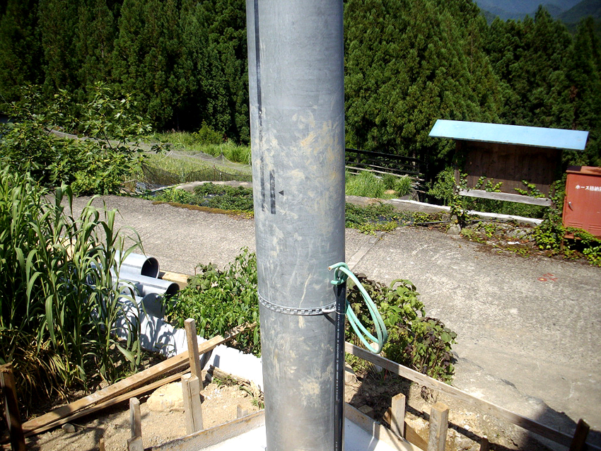 f:id:blepharisma:20121107111841j:image