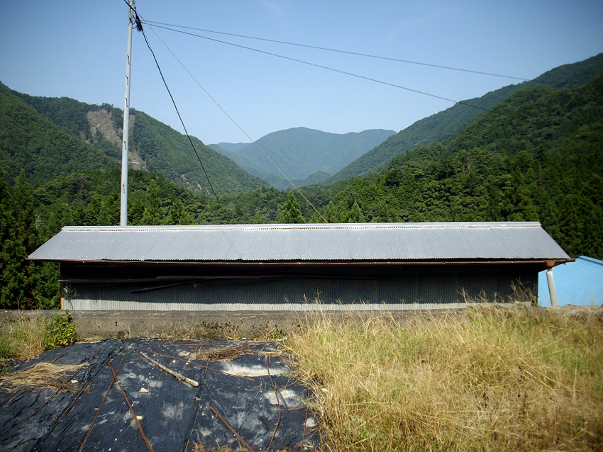 f:id:blepharisma:20121107111843j:image
