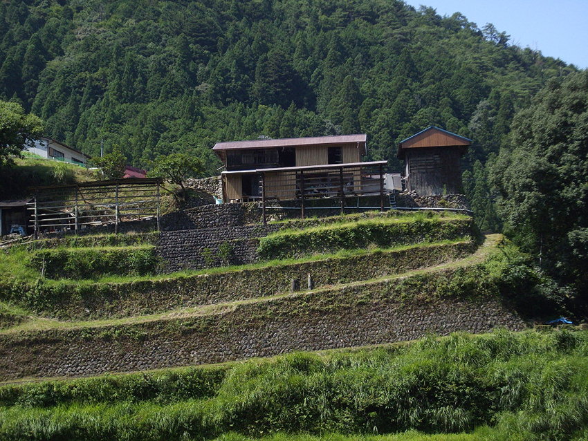 f:id:blepharisma:20121107111844j:image