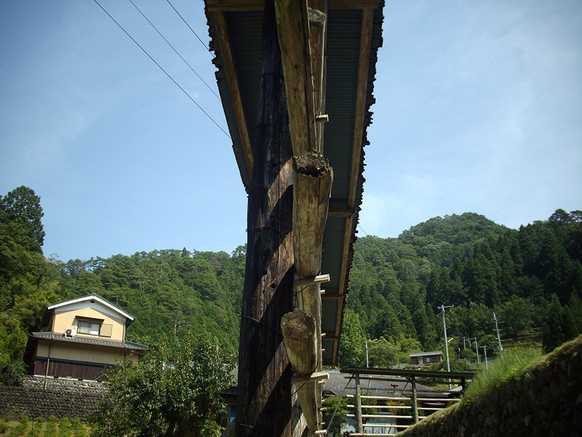 f:id:blepharisma:20121113102340j:image