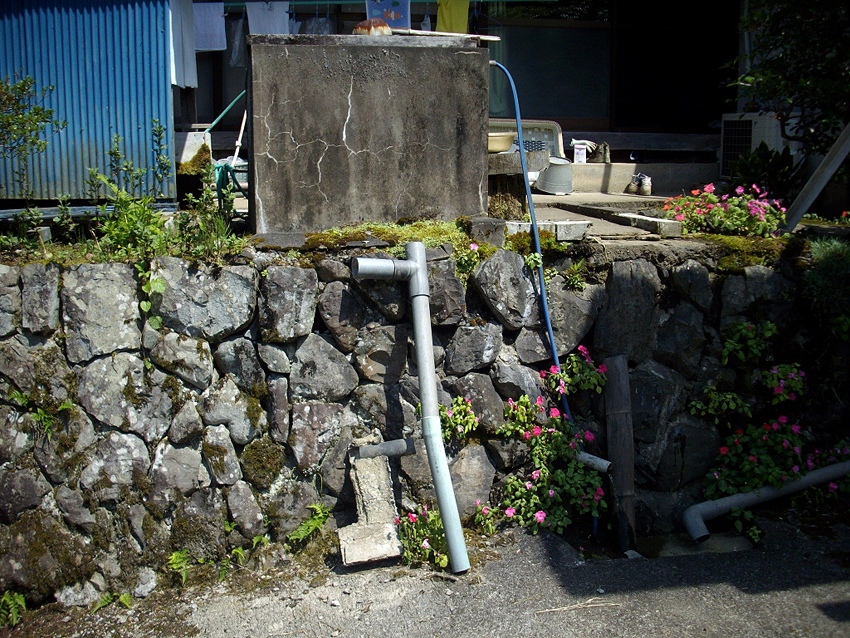 f:id:blepharisma:20121113102343j:image