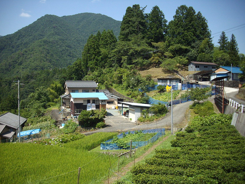 f:id:blepharisma:20121113102349j:image