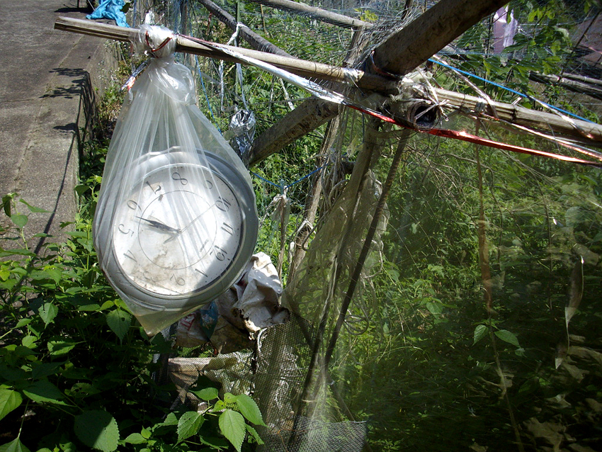 f:id:blepharisma:20121121095946j:image