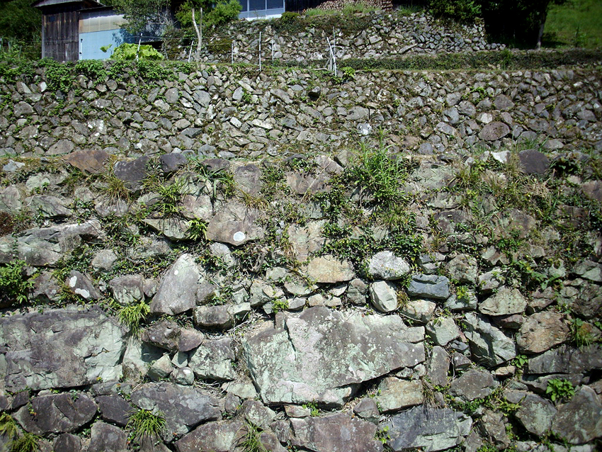 f:id:blepharisma:20121121095947j:image
