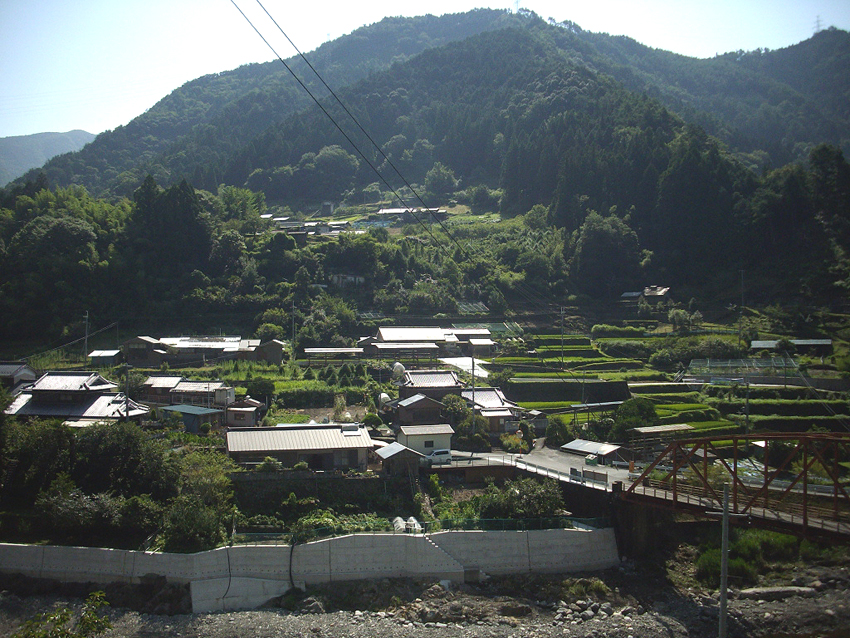 f:id:blepharisma:20121121095948j:image
