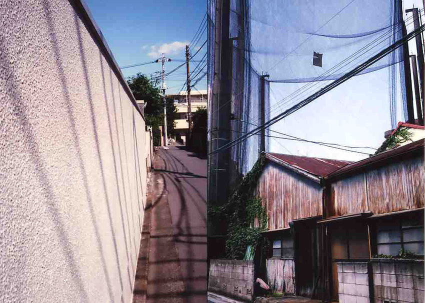 f:id:blepharisma:20121123093058j:image