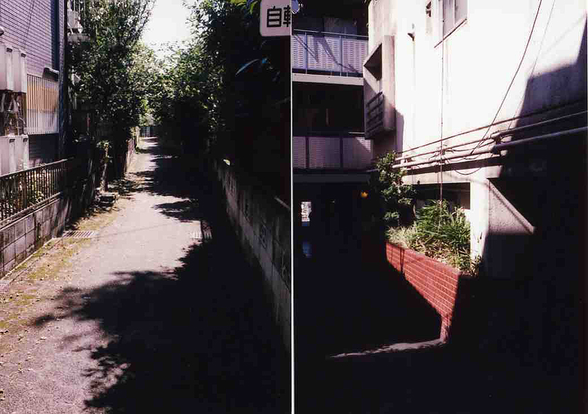 f:id:blepharisma:20121126104704j:image