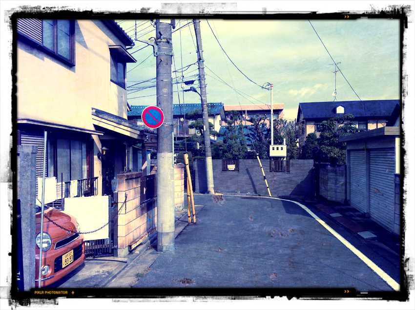 f:id:blepharisma:20121126104811j:image
