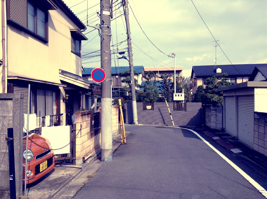 f:id:blepharisma:20121126104812j:image