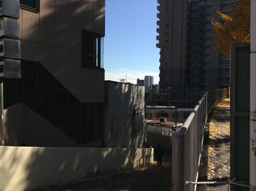 f:id:blepharisma:20121207102932j:image