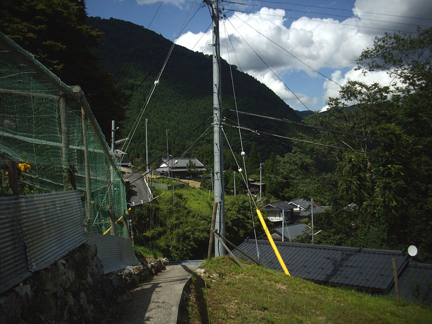 f:id:blepharisma:20121213102835j:image