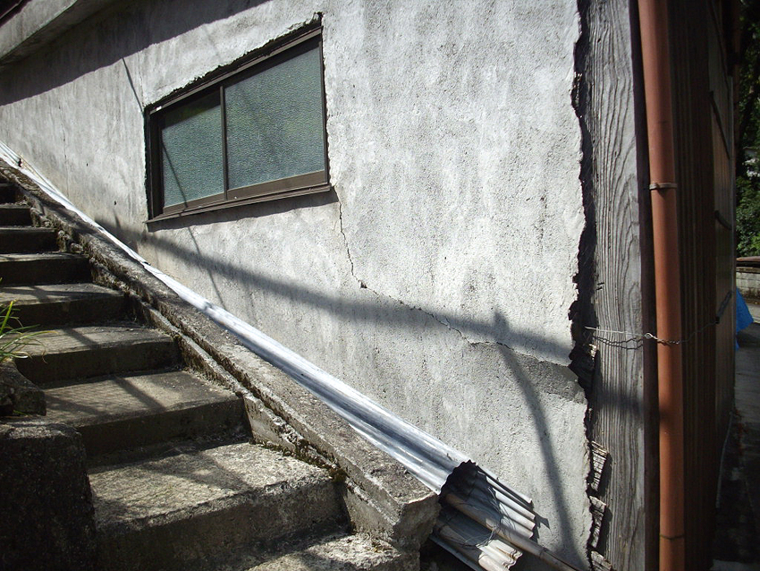 f:id:blepharisma:20121213102836j:image