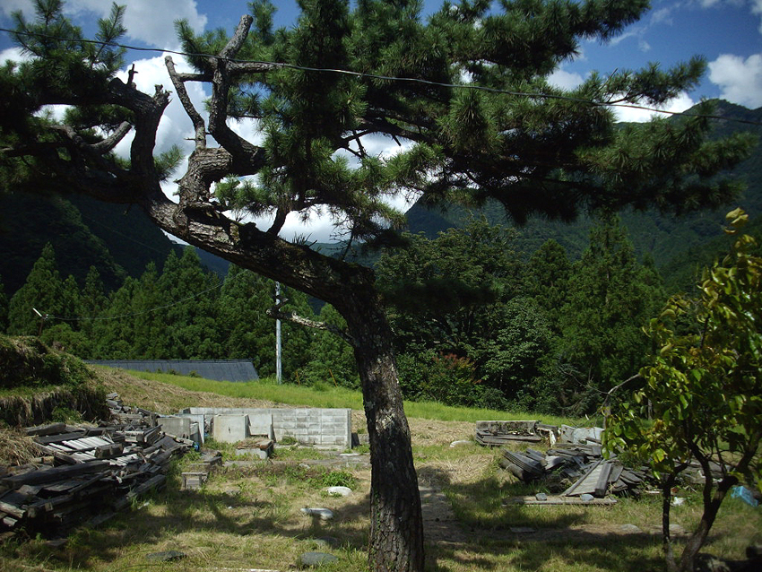 f:id:blepharisma:20121213102839j:image