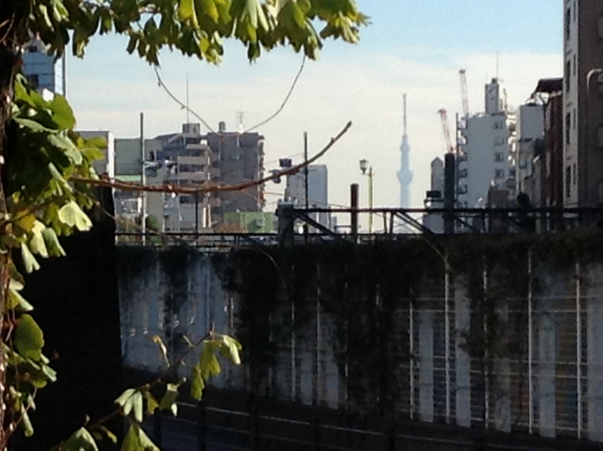 f:id:blepharisma:20121214111230j:image f:id:blepharisma:20121214111230j:image