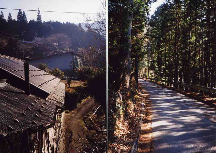 f:id:blepharisma:20121231164925j:image