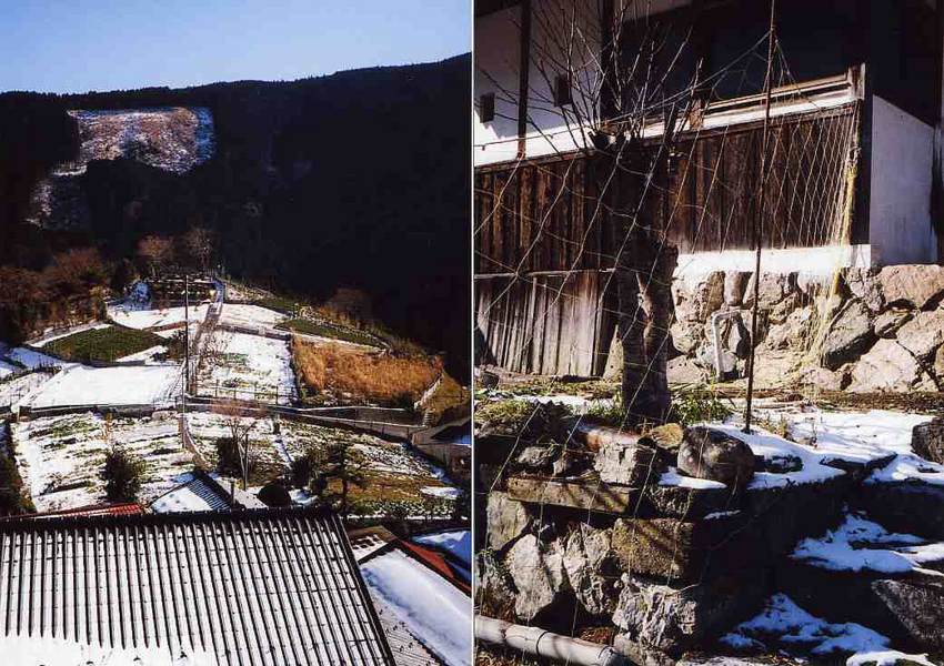 f:id:blepharisma:20121231164927j:image f:id:blepharisma:20121231164927j:image