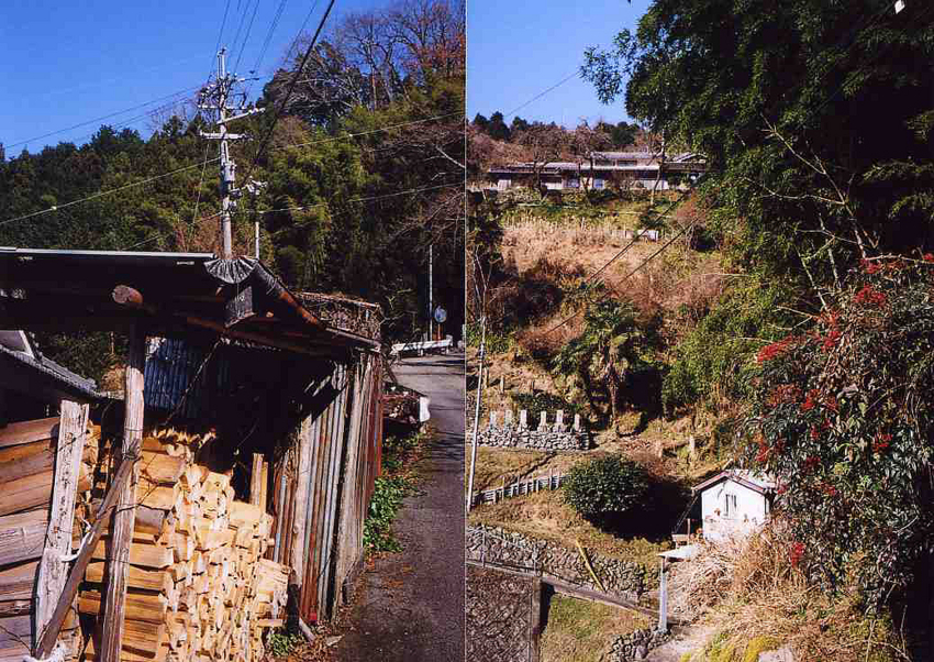 f:id:blepharisma:20121231164929j:image