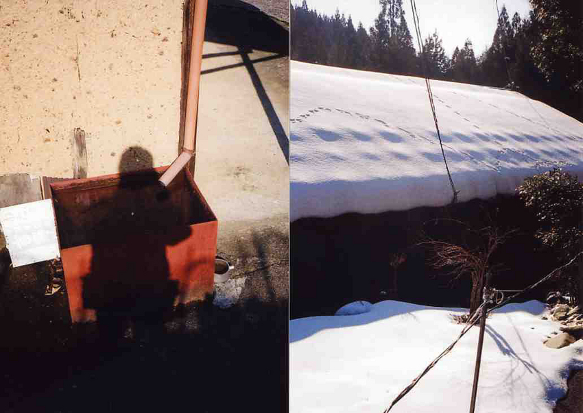 f:id:blepharisma:20121231165006j:image