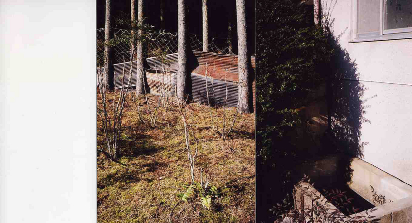 f:id:blepharisma:20121231165008j:image f:id:blepharisma:20121231165008j:image