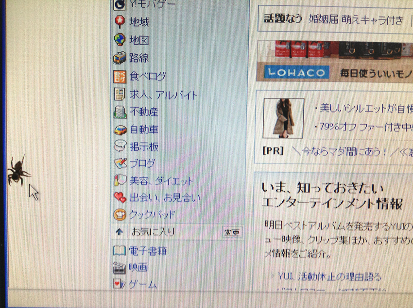 f:id:blepharisma:20130102101300j:image