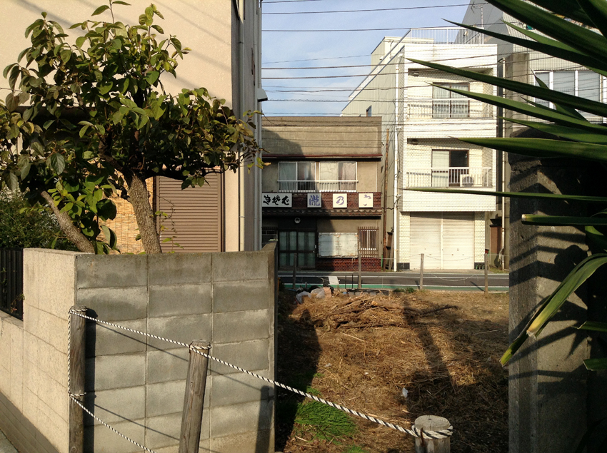 f:id:blepharisma:20130119053053j:image
