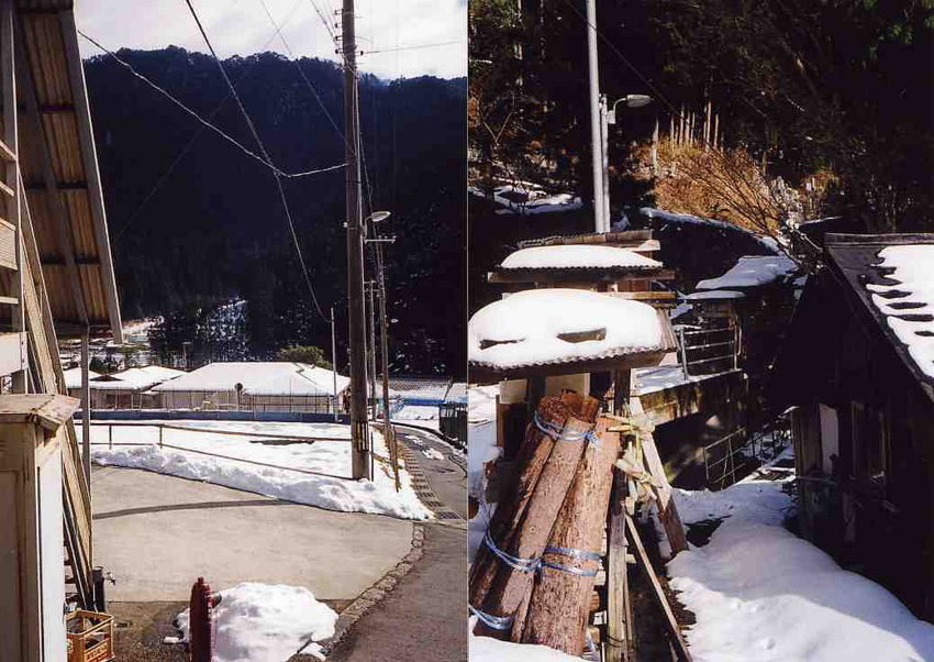 f:id:blepharisma:20130121103407j:image