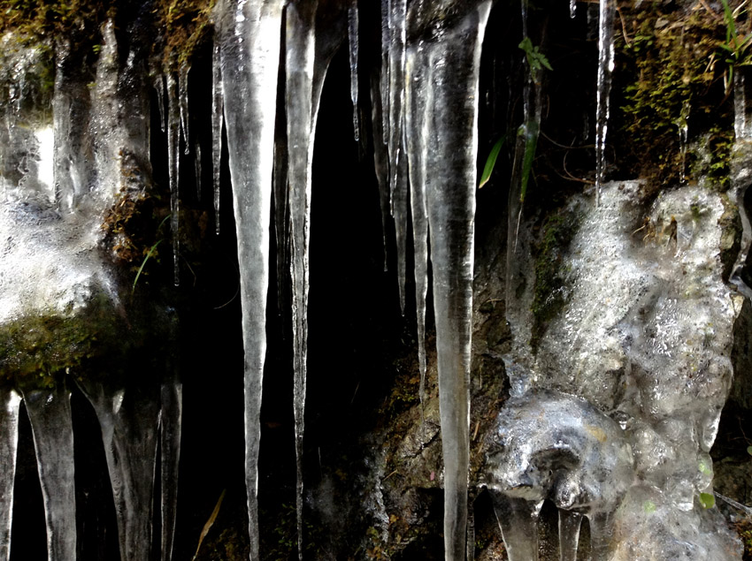 f:id:blepharisma:20130128101327j:image