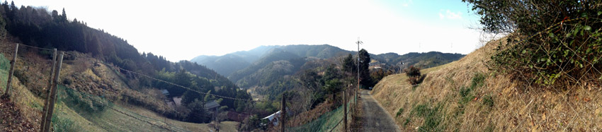 f:id:blepharisma:20130130104641j:image
